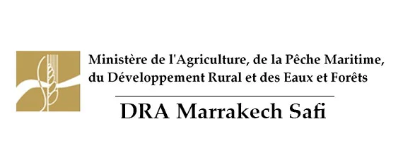 DRA Marrakech-Safi